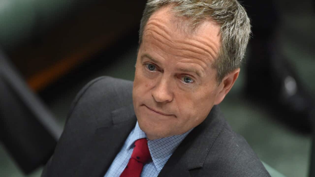 Opposition Leader Bill Shorten
