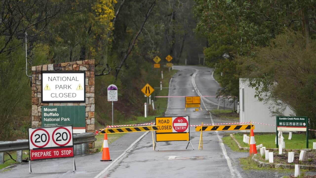 A sign for a national park entrance that reads "NATIONAL PARK CLOSED" is accompanied by multiple road closed signs and orange cones blocking access to a winding, wet road.