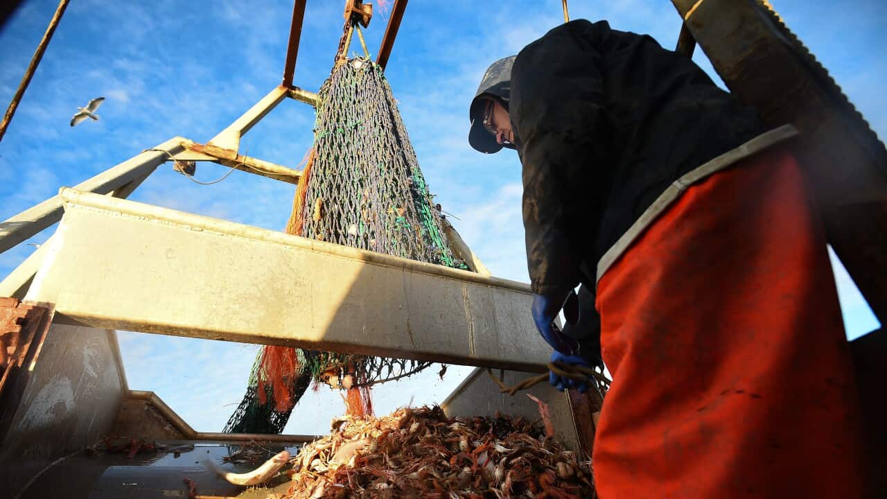 BRITAIN-SCOTLAND-EU-POLITICS-BREXIT-FISHING
