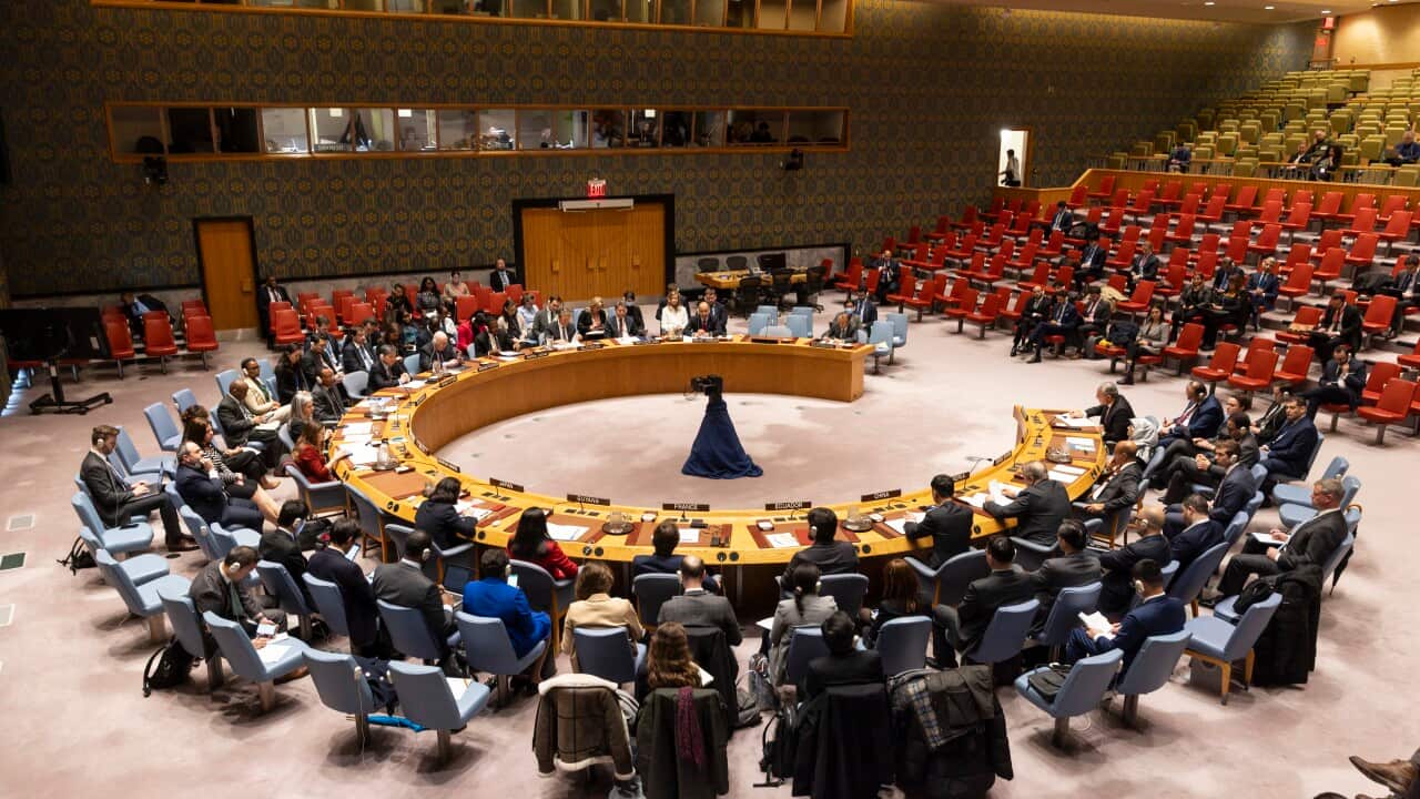 “وصاية امريكية على القطاع“: مخاوف فلسطينية بعد اقرار مجلس الامن خطة ترامب للسلام في غزة