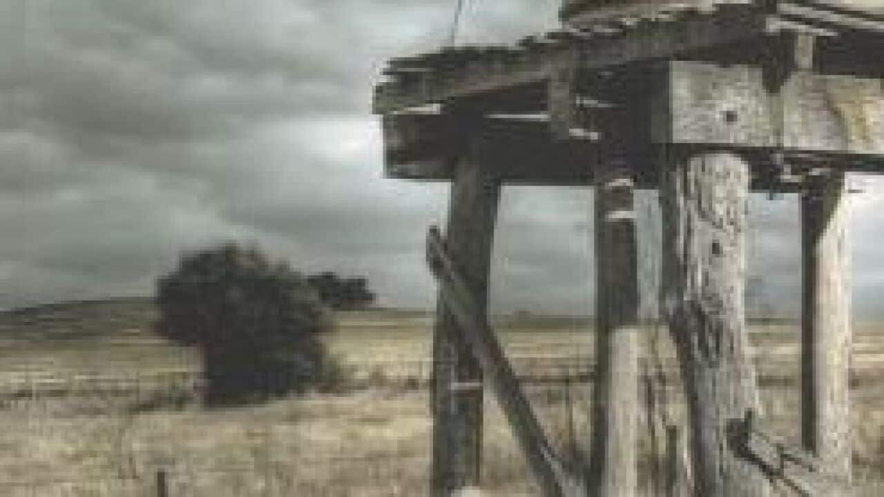 'The Sparrow Garden'