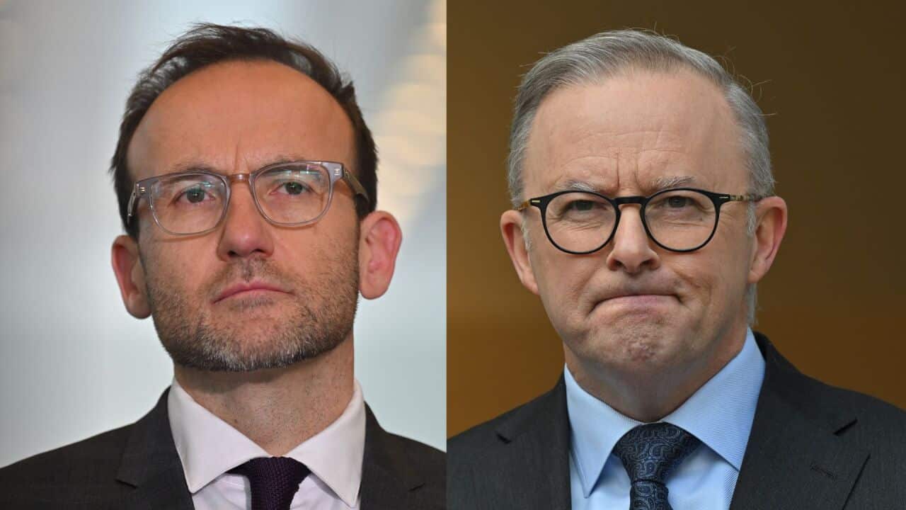 A composite image of Adam Bandt and Anthony Albanese