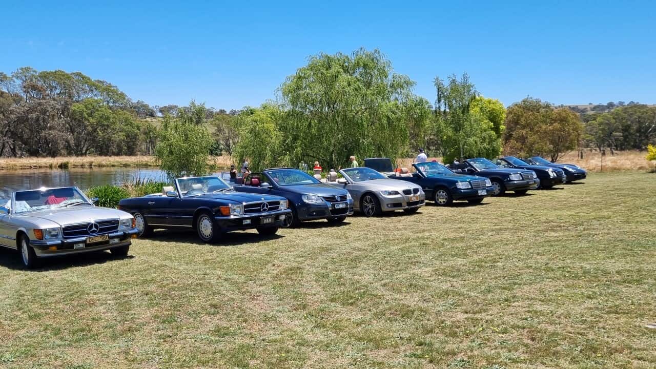 Cabrio Club.jpg
