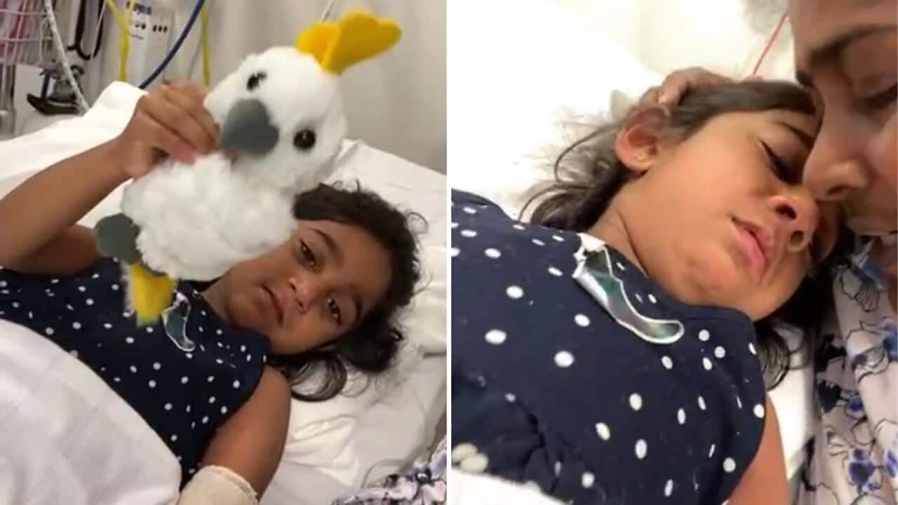 Image for read more article 'READ MORE'