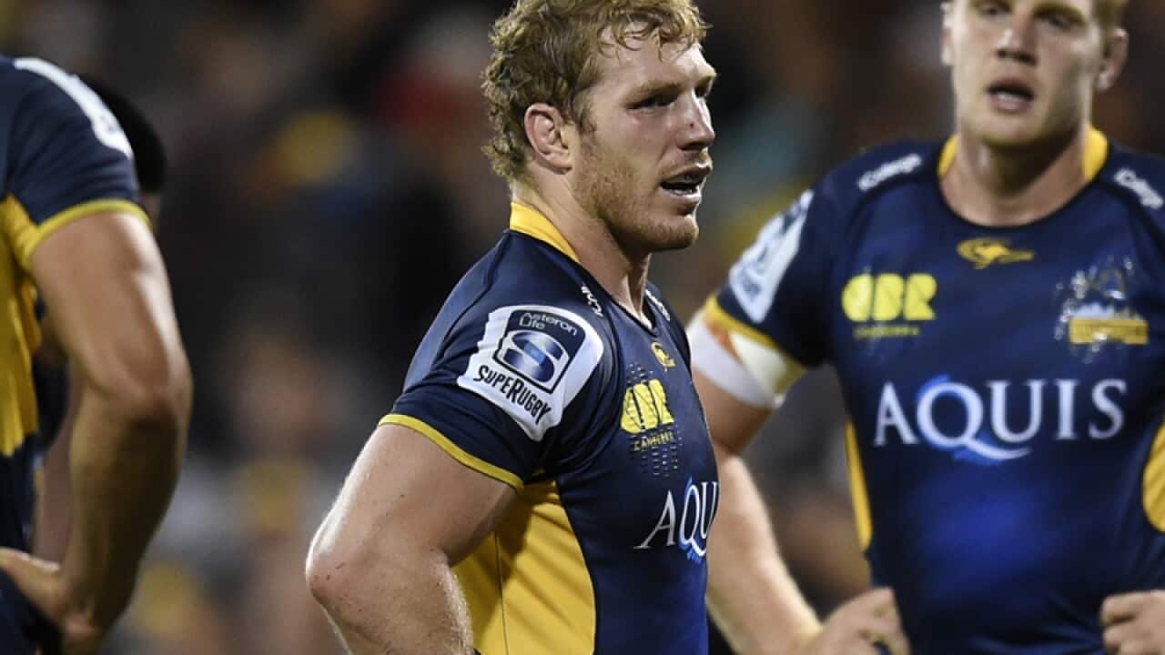 ACT Brumbies flanker David Pocock