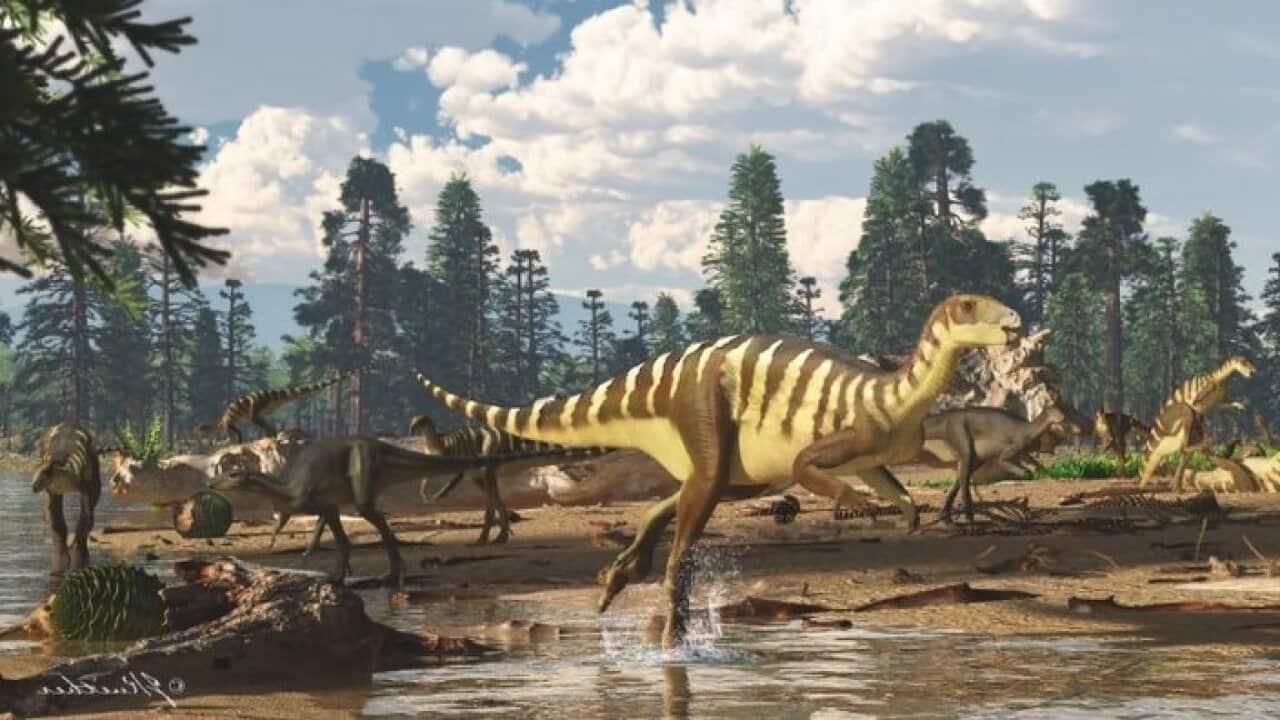 Smithsonian/James Kuether