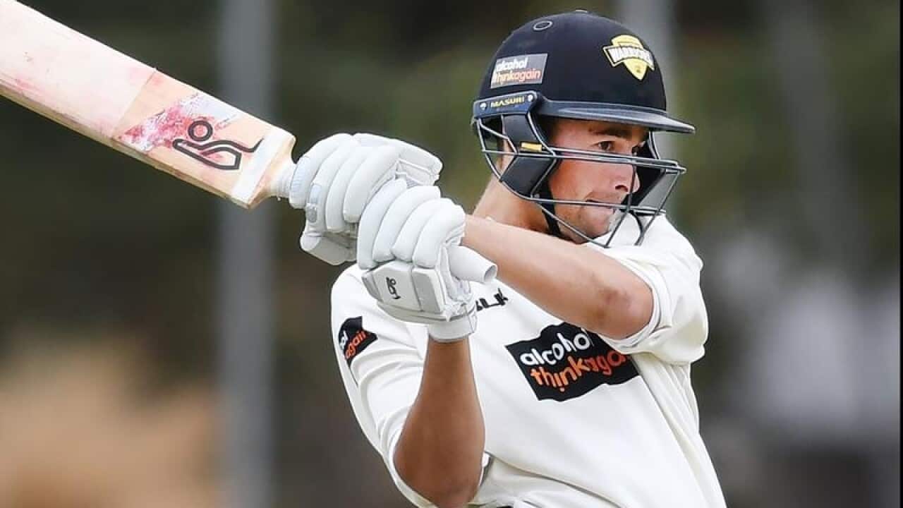 Ashton Agar of the Western Warriors