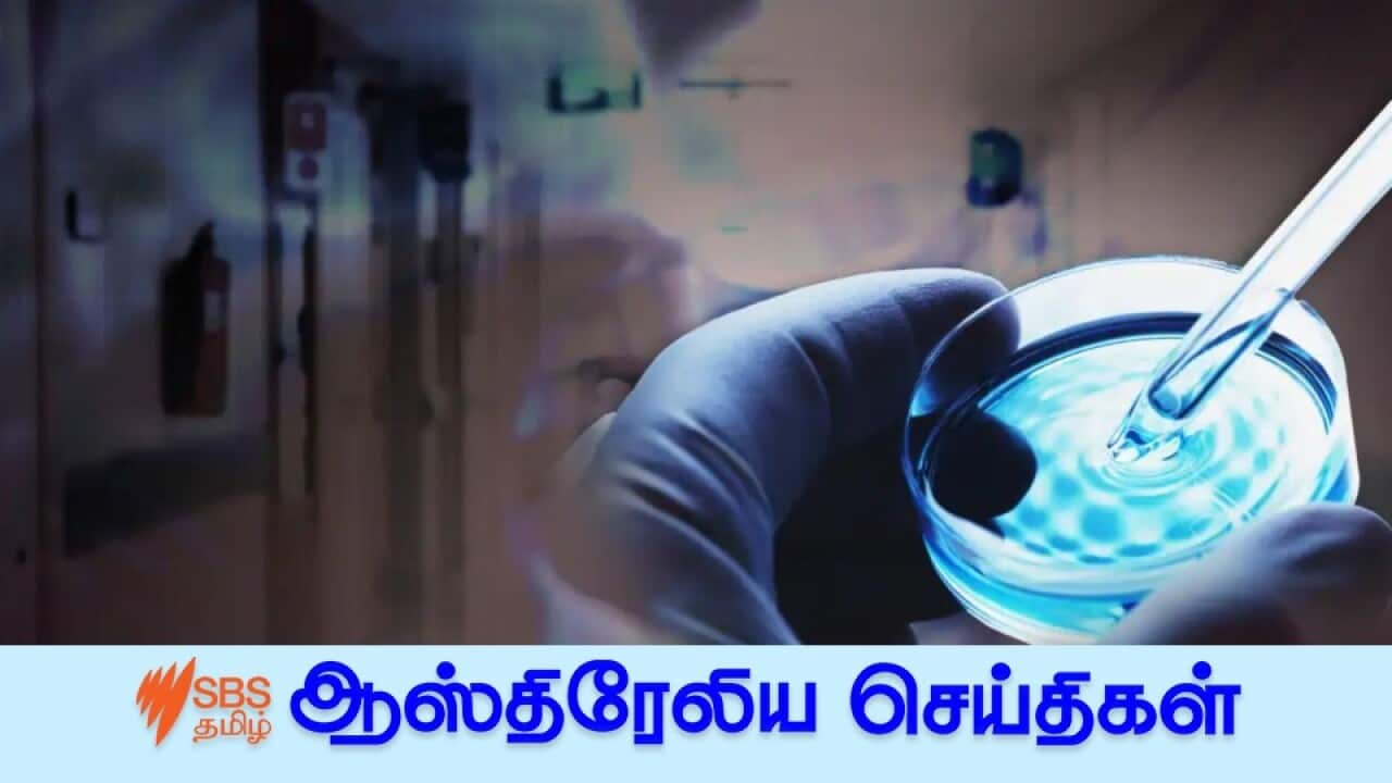 News 11 Aug.jpg