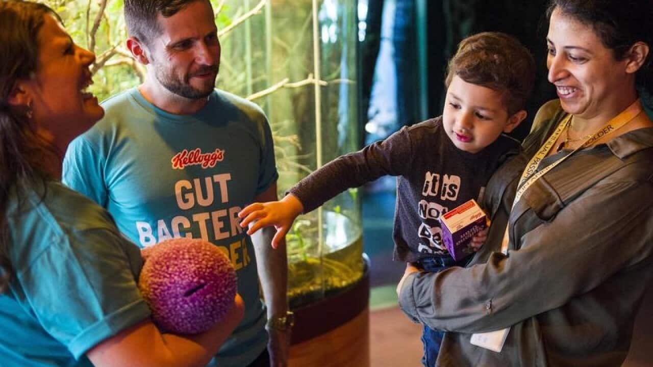 GUT BACTERIA INSTALLATION SYDNEY