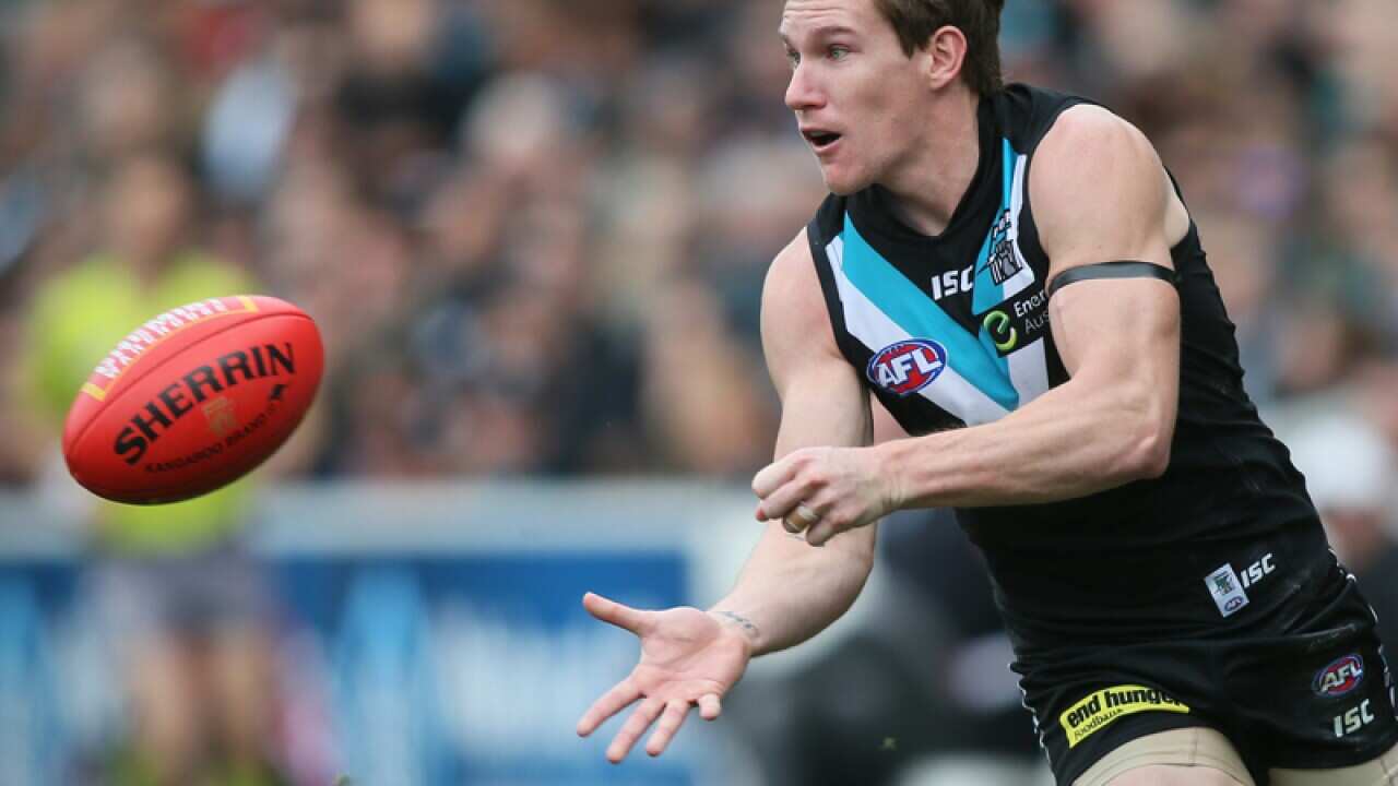 Port Adelaide utility Matt White