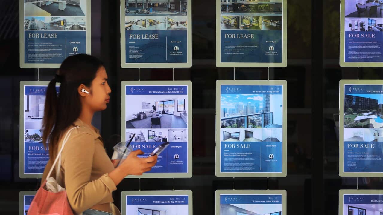 Image for read more article 'READ MORE'