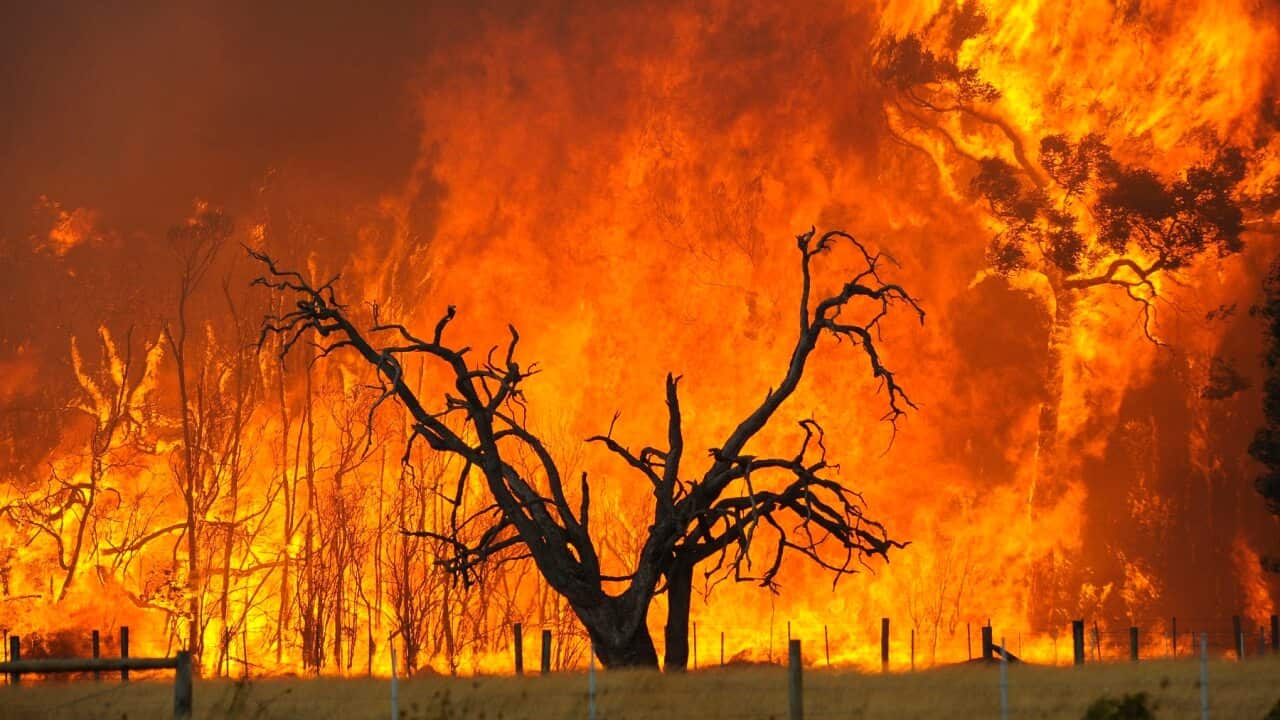 bushfires, emergency management, NACA Feature,