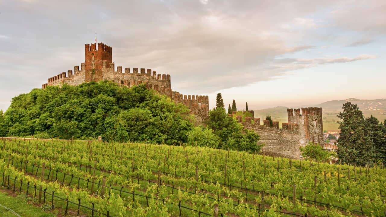 Image for read more article 'READ MORE'