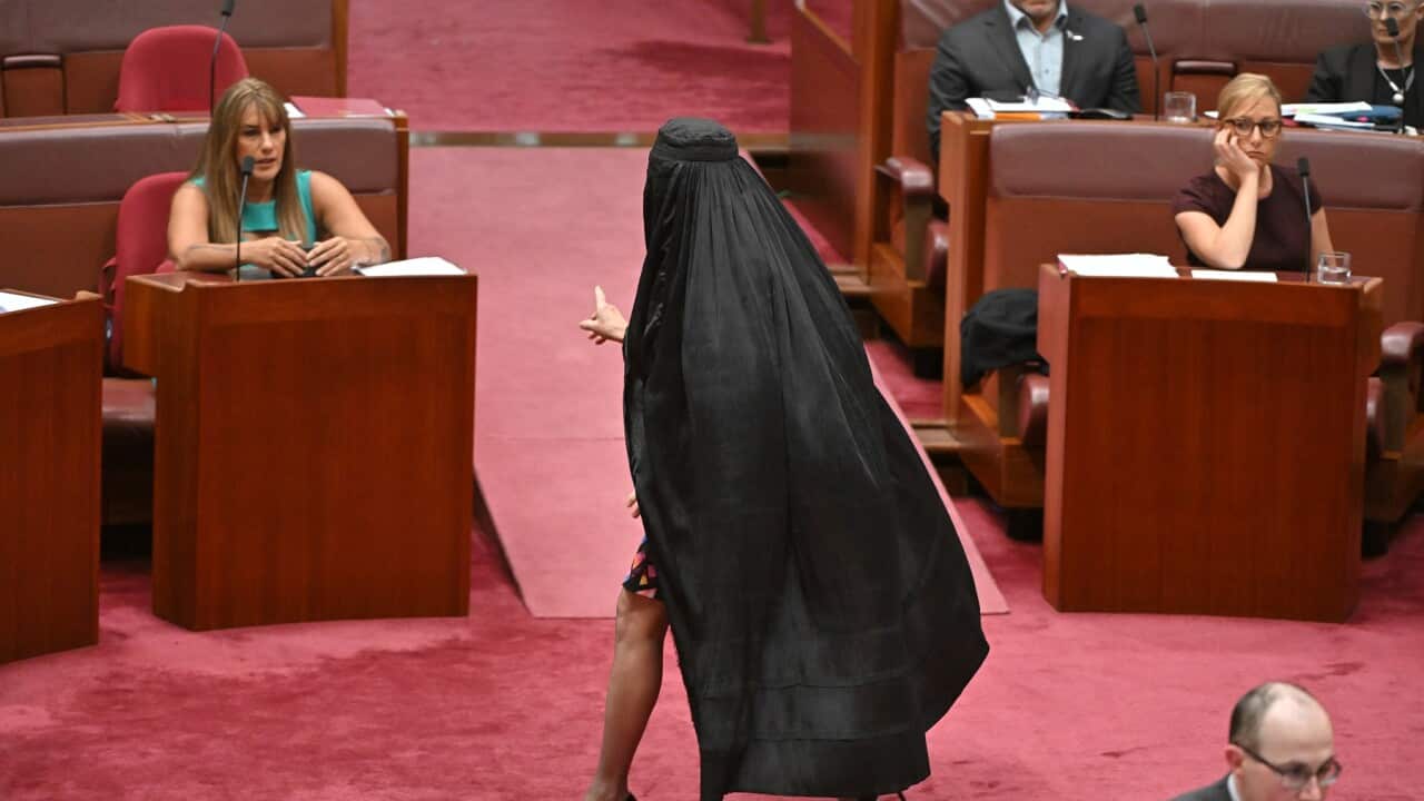PAULINE HANSON BURQA SENATE