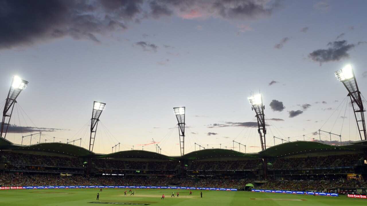 A view of cricket at Spotless Stadium