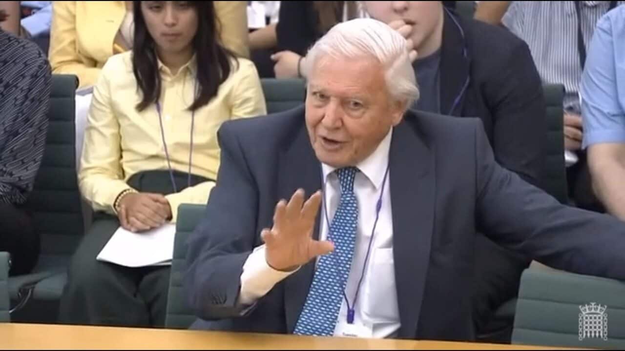 David Attenborough