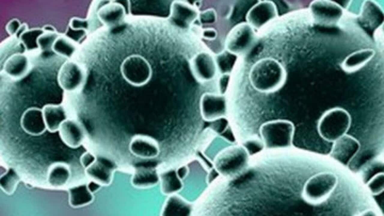 corona-virus