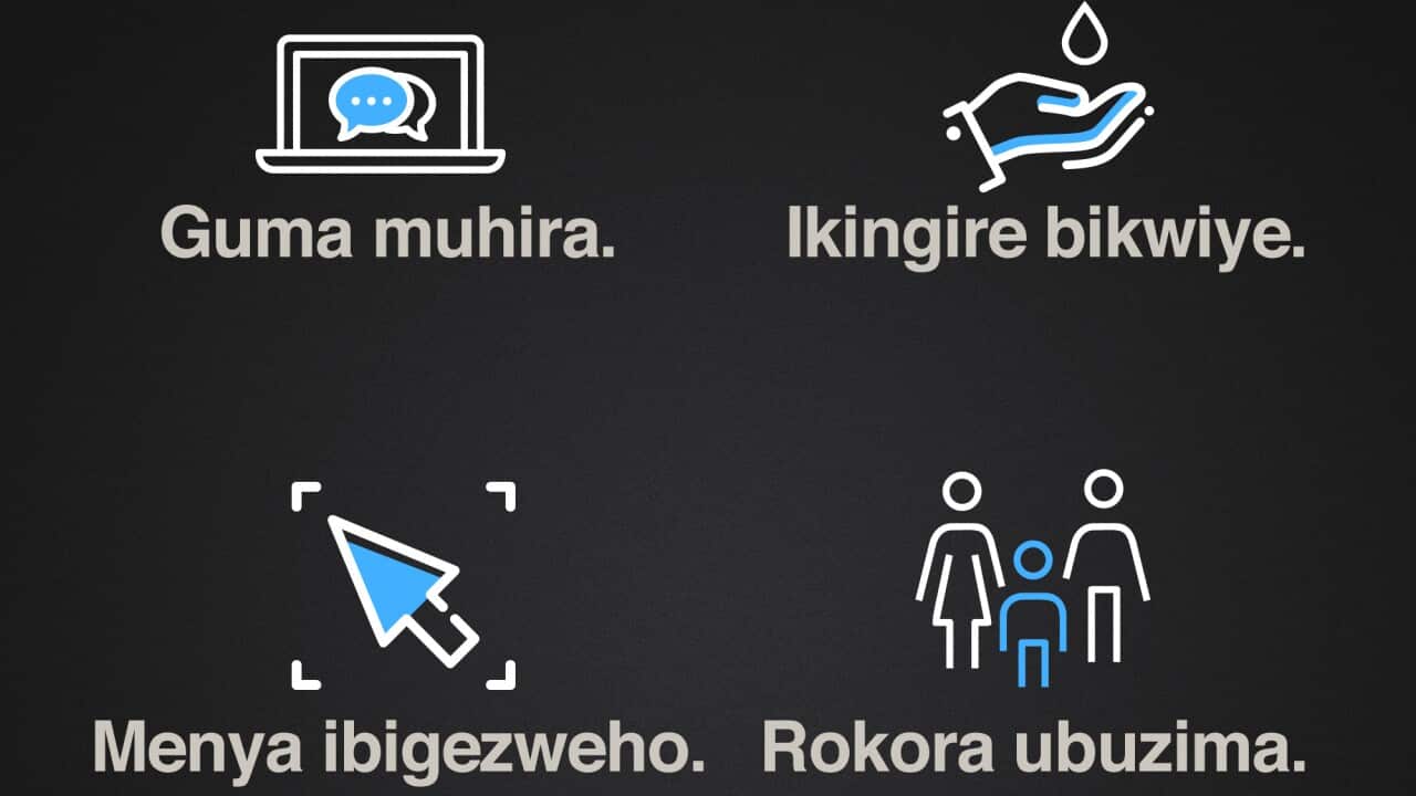infographic