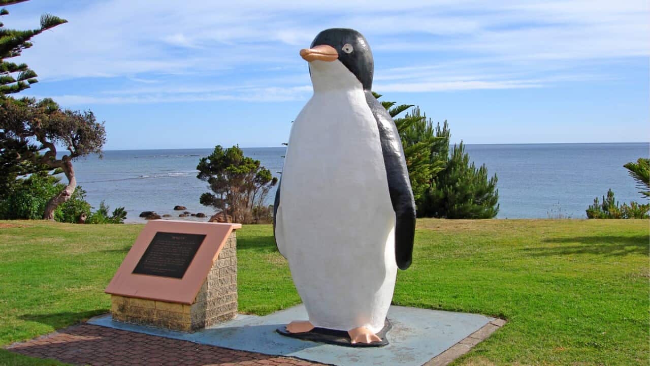TASMANIA BIG PENGUIN ASBESTOS