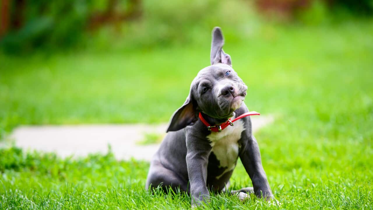 Image for read more article '其他內容'