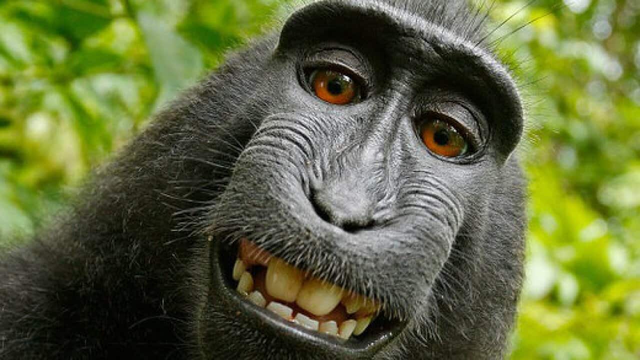 World Laughter Day