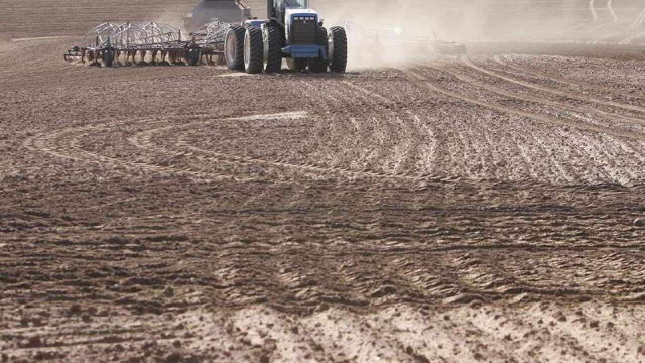 A farmer sowing wheat in South Australia.