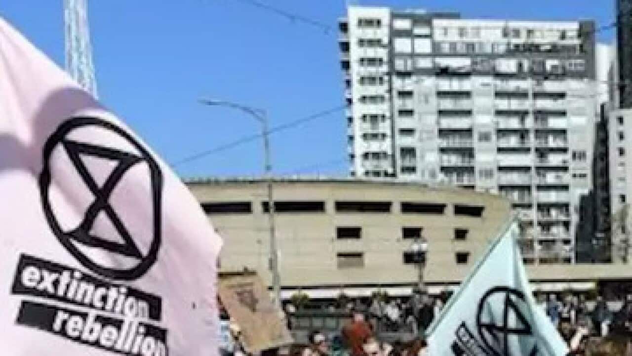 Climate protests