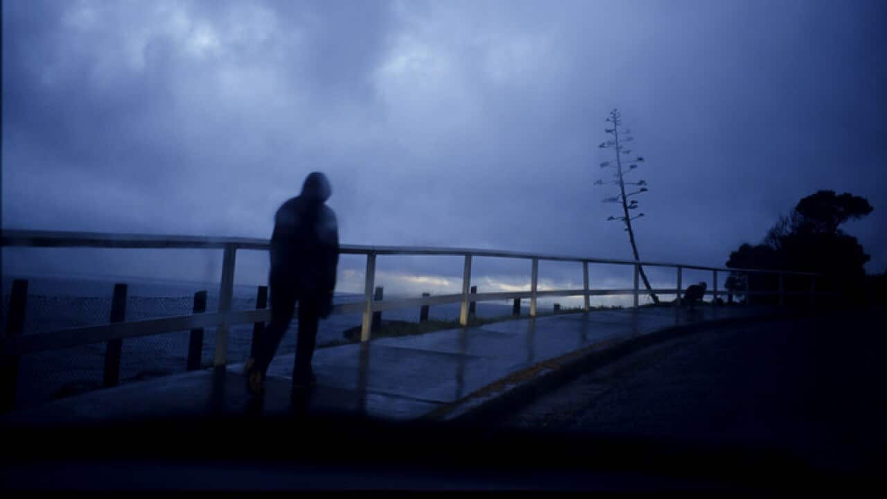 Scenes In The Winter Light Of Australia