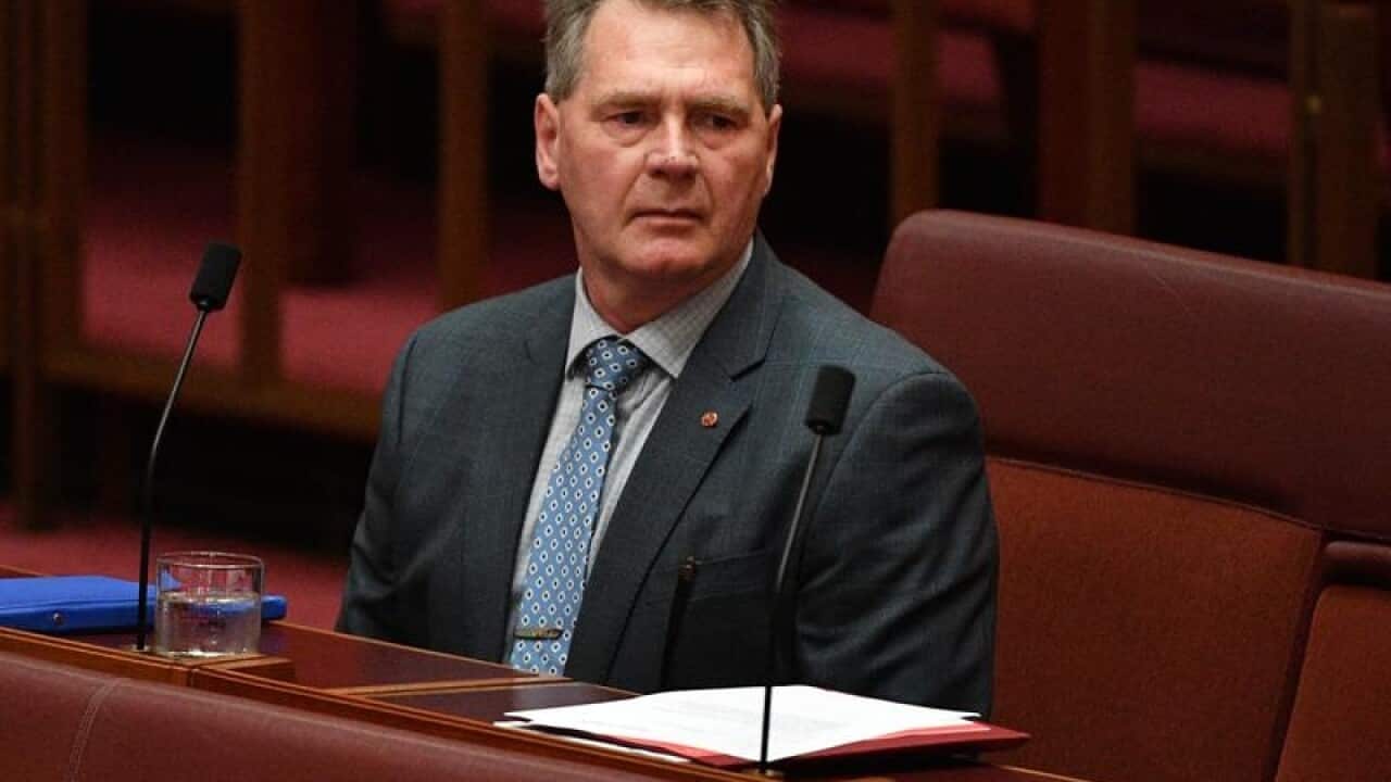 Nationals Senator Steve Martin