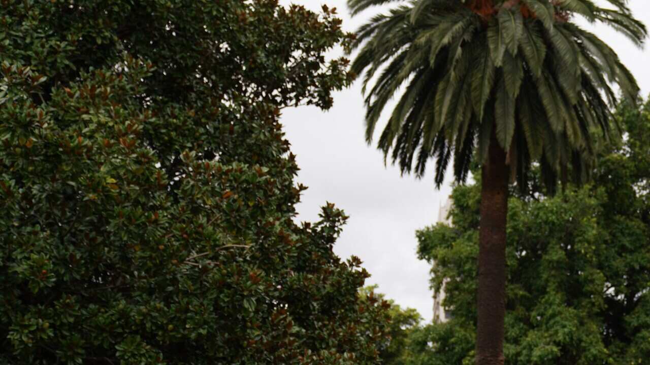 Image for read more article 'READ MORE'