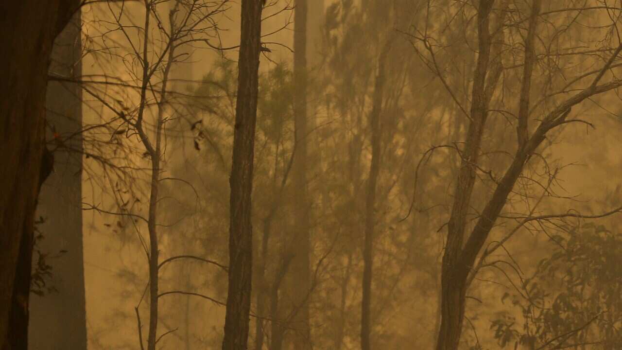 Image for read more article 'READ MORE'