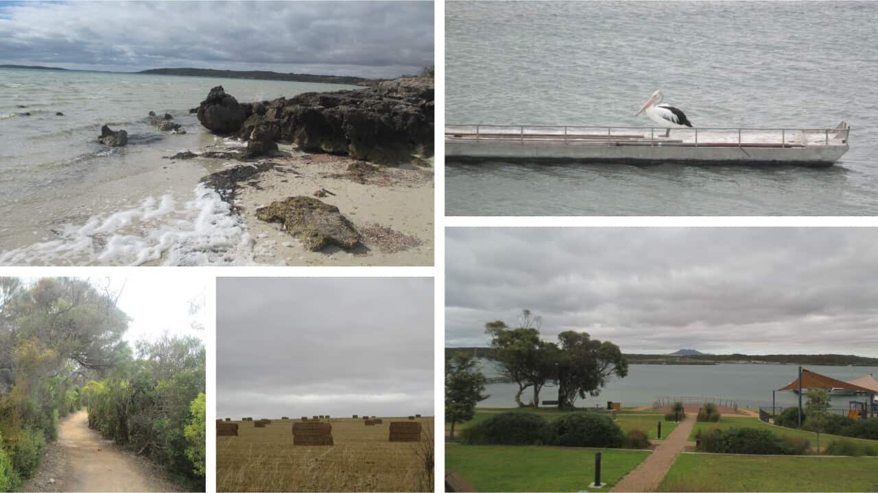 Coffin Bay_ South Australia_ Australian Rural Beauty