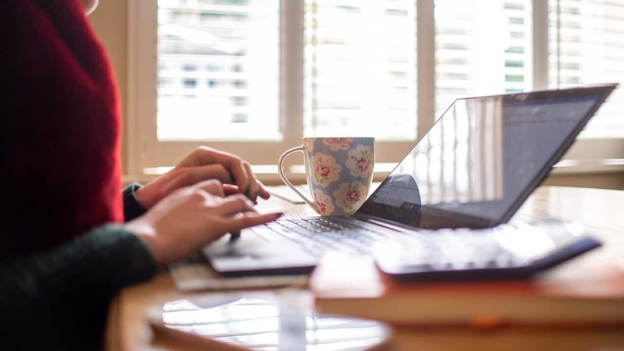 A worker connected on a laptop in their remote office (AAP).jpg