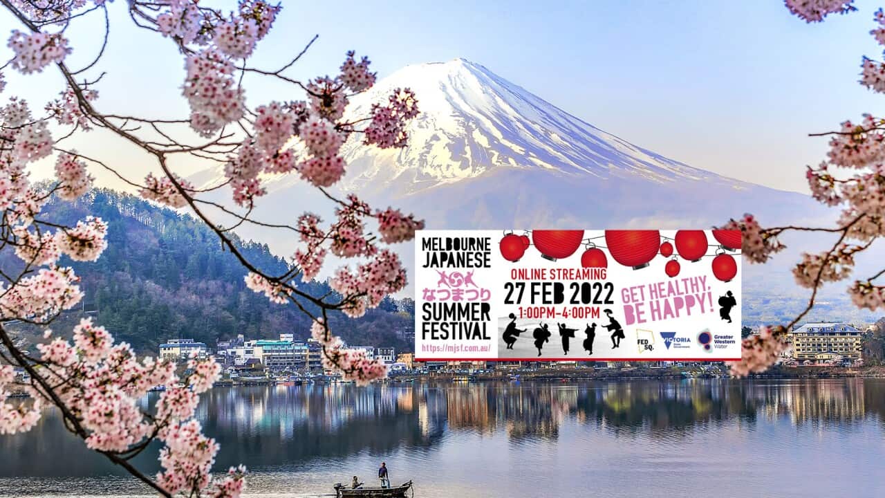 Image for read more article 'READ MORE'