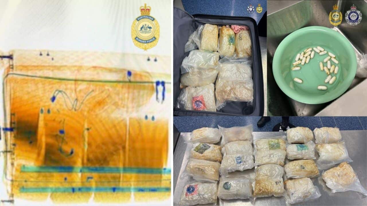 Copy of SBS Audio YouTube End Card 2 (2).jpg