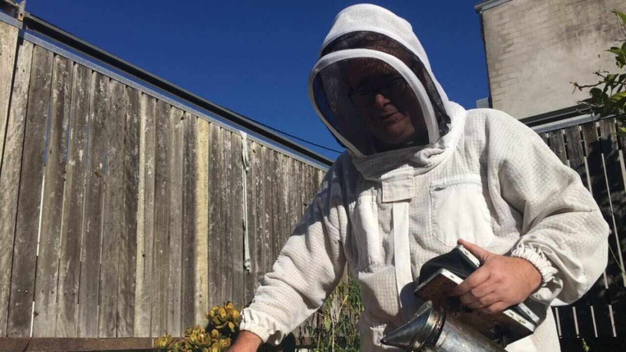 Beekeeper Doug Purdie (SBS)