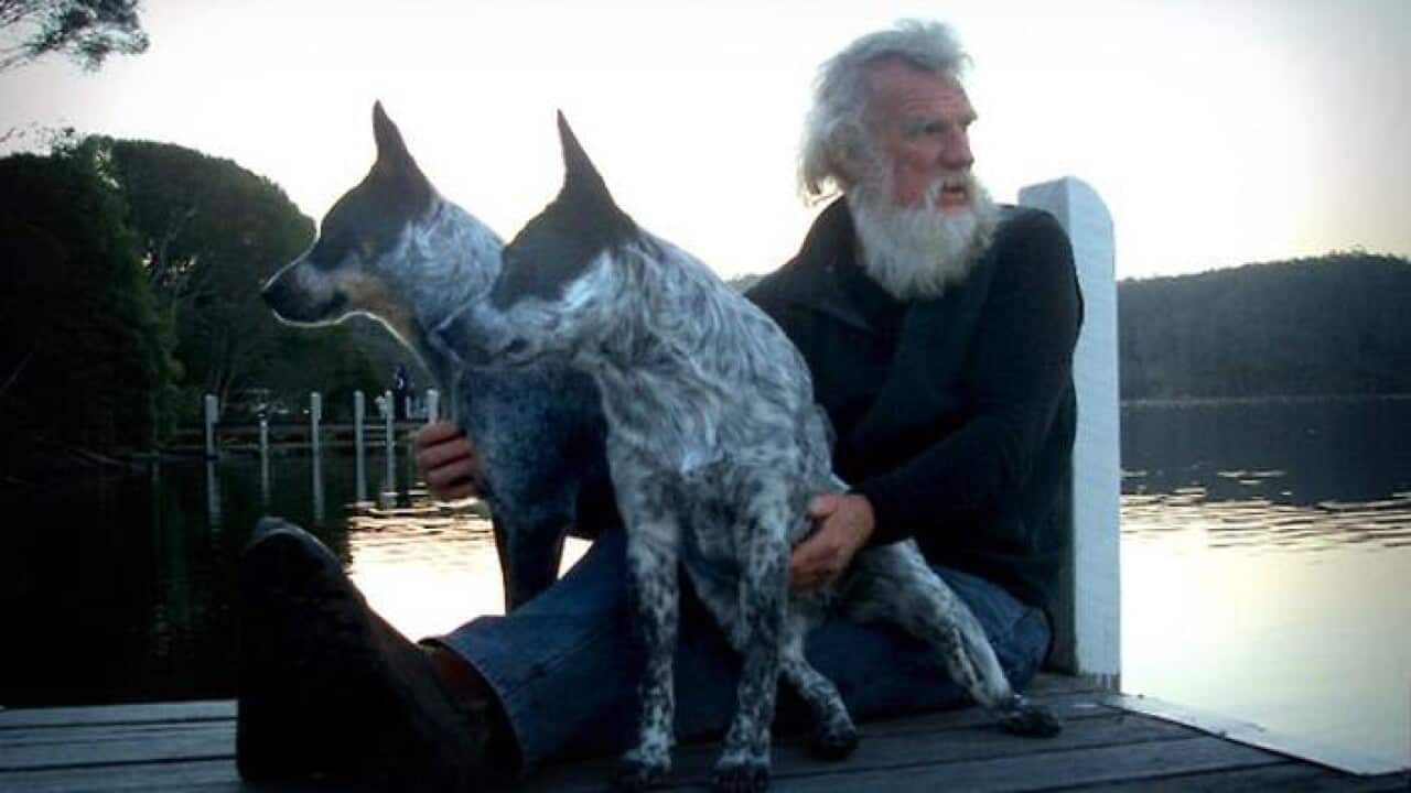 Bruce Pascoe Dark Emu, Black Seeds : Agriculture or Accident?