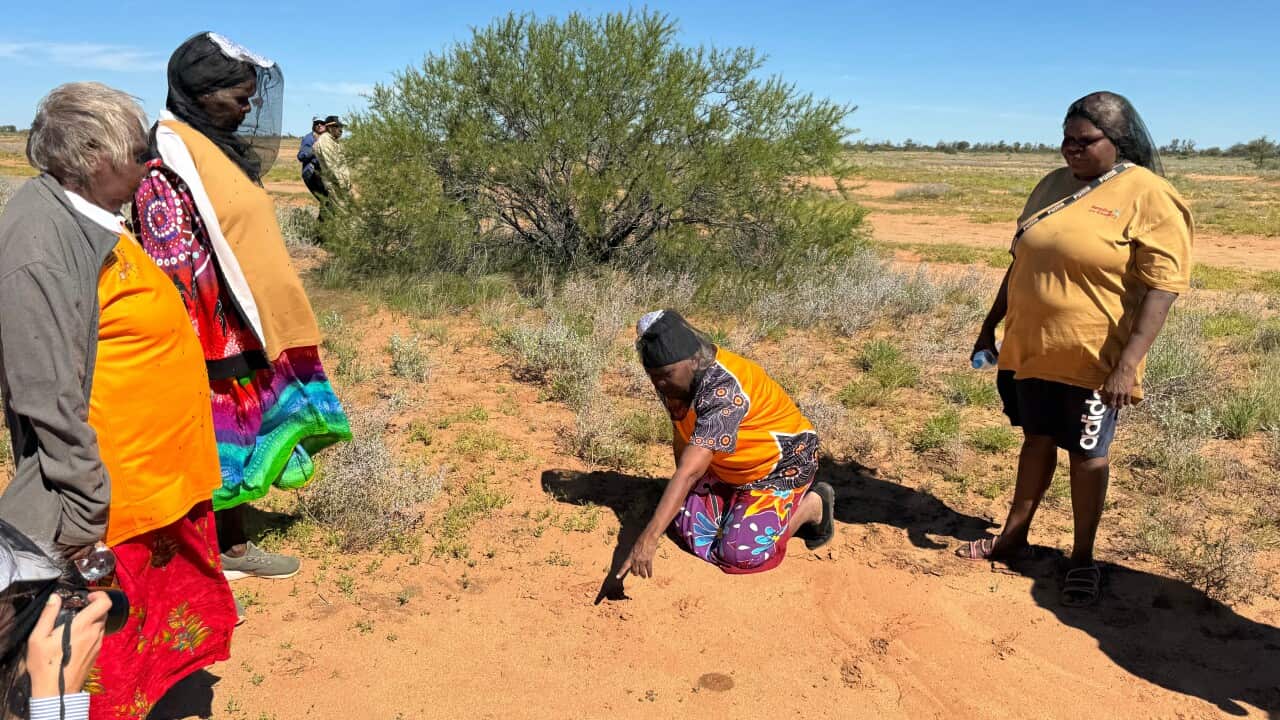 Image for read more article 'READ MORE'