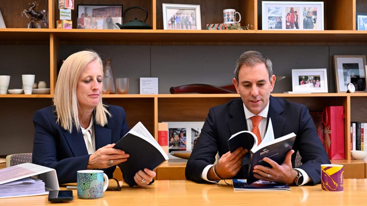 ALCBudget2025 FEDERAL BUDGET 2025