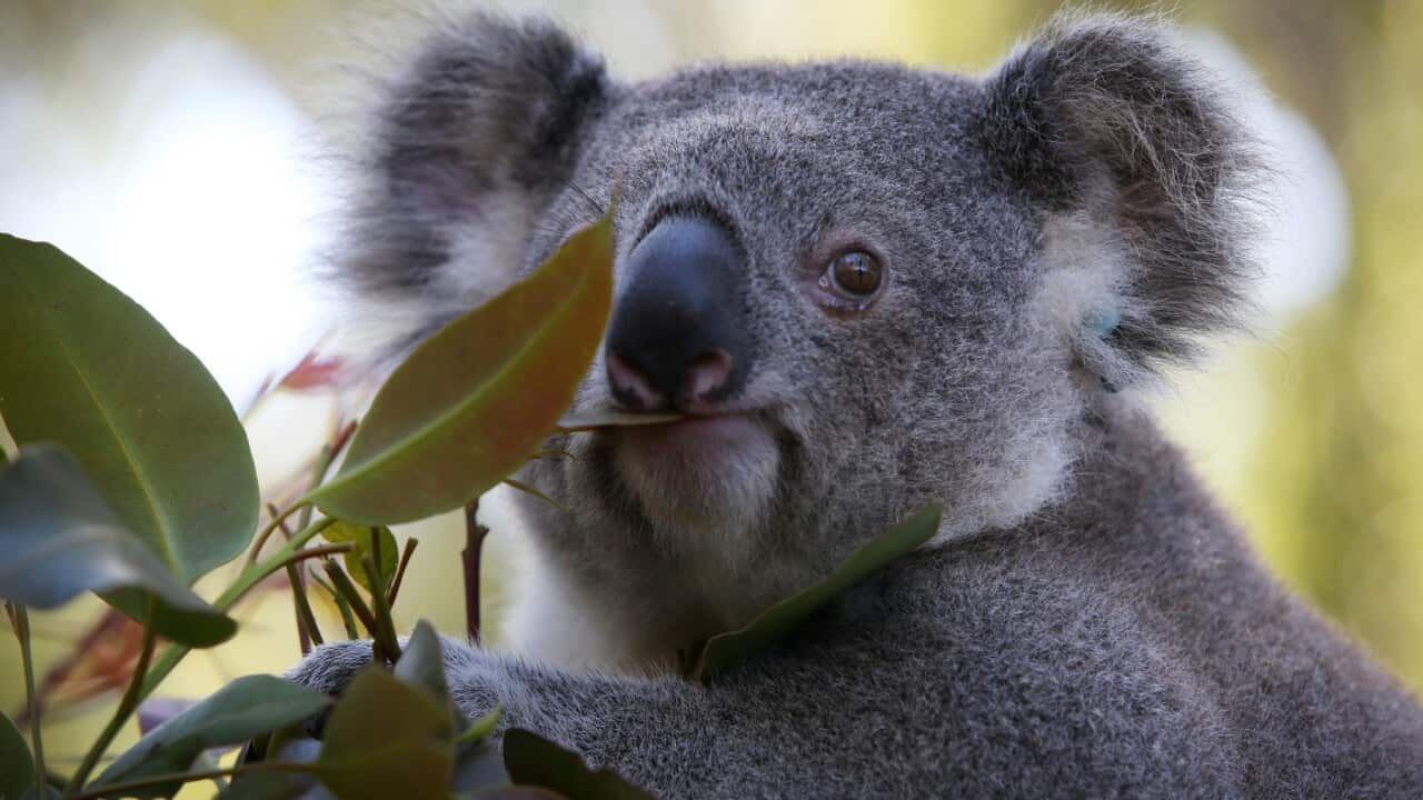 Image for read more article 'READ MORE'