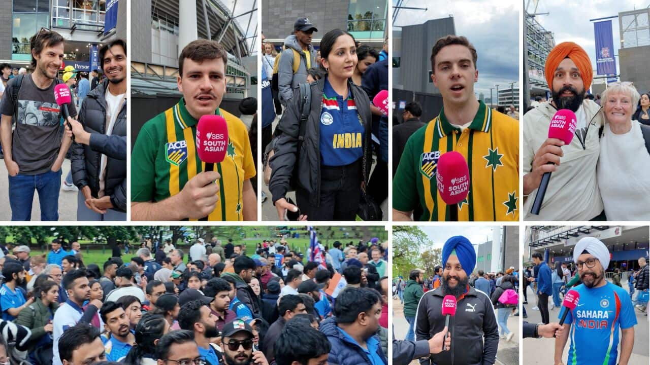 Cricket fans MCG (18).jpg