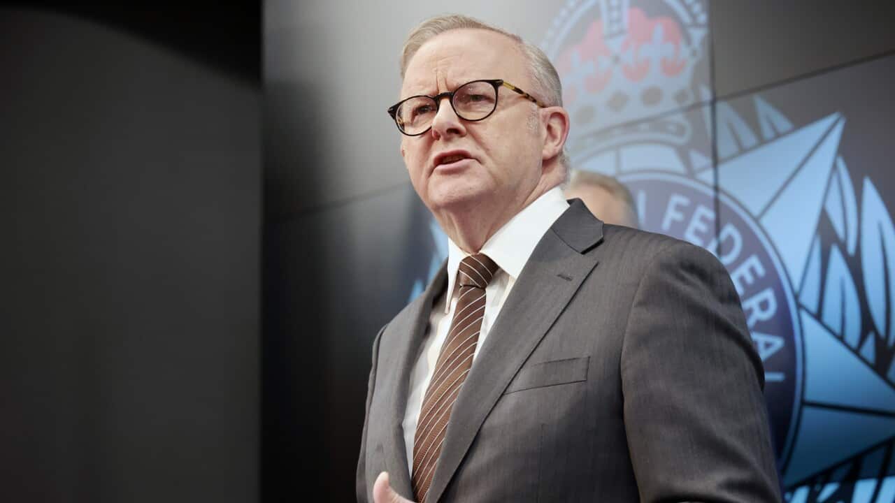 AFP BONDI TERROR INVESTIGATION