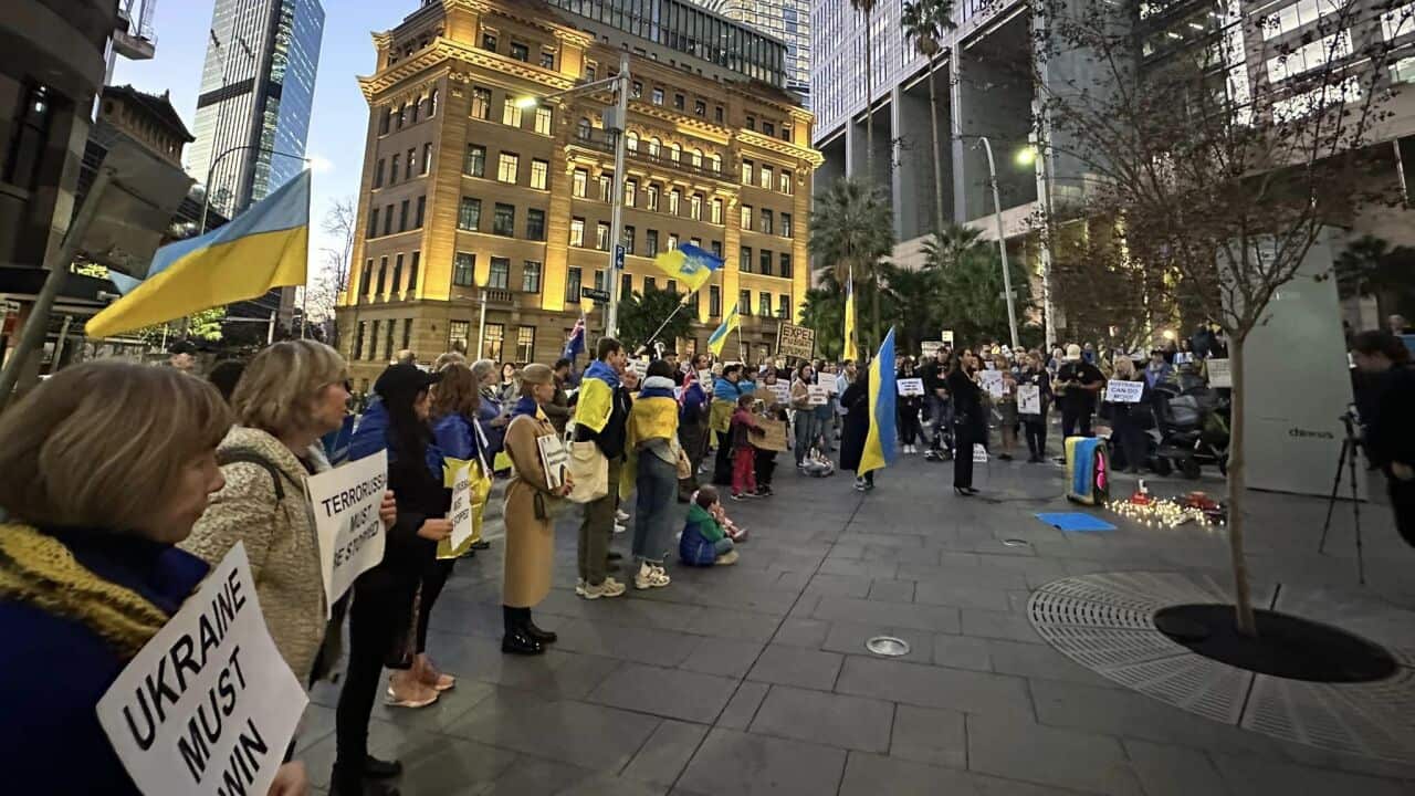 Sydney vigil in support of Ukraine and victims of Okhmatdet strike.jpg