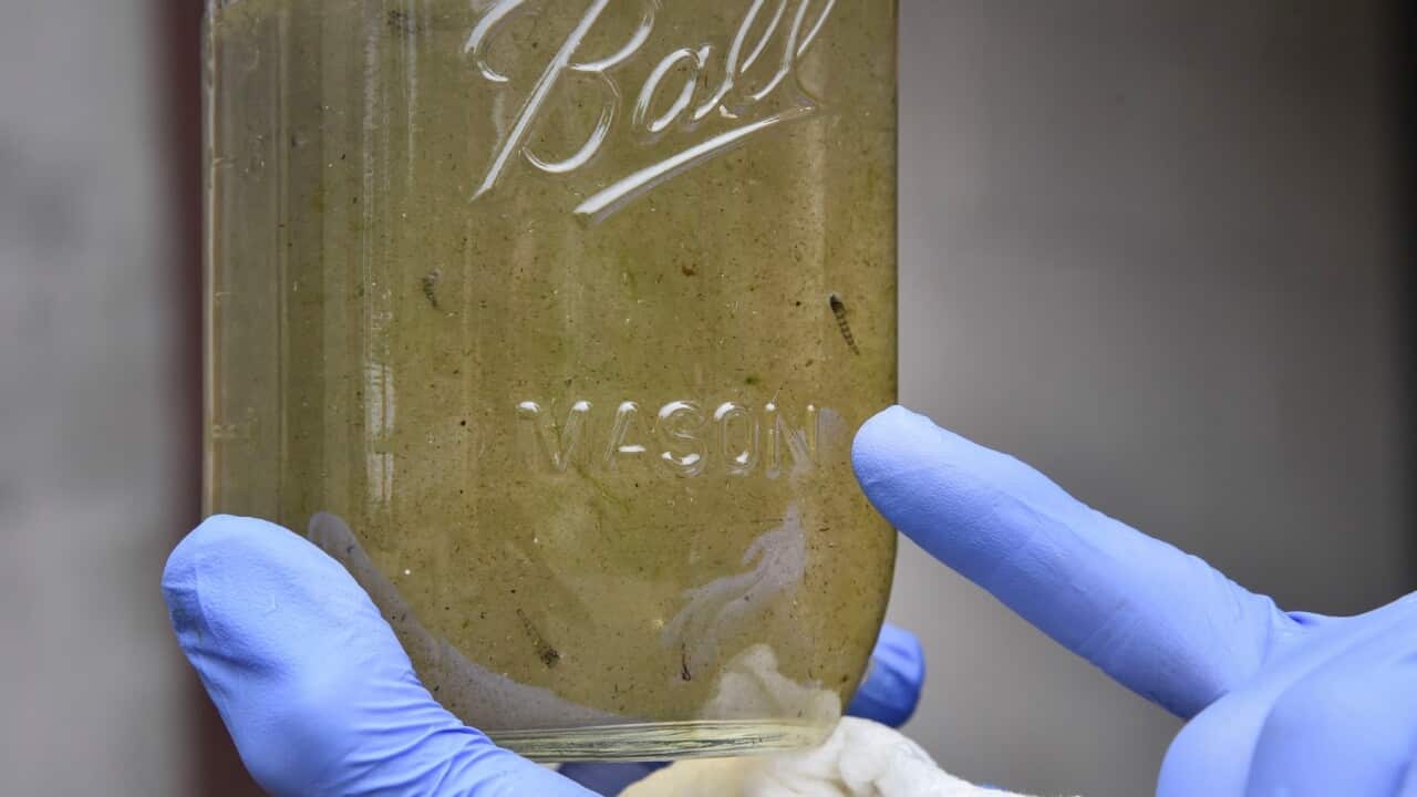 A sample of water that contains possible microplastics at a water treatment plant in the US