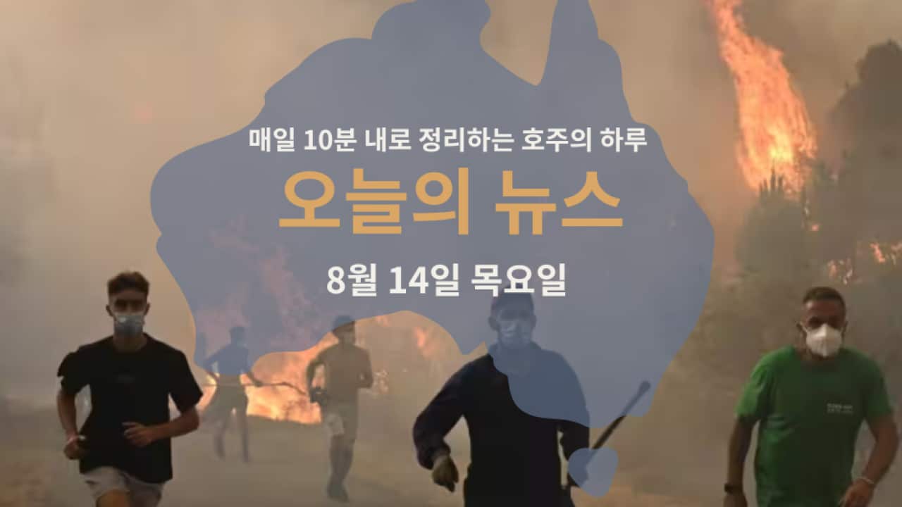 060825.png