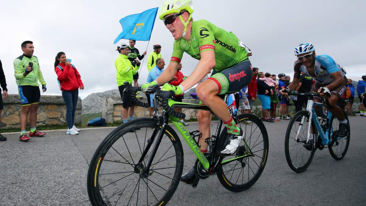 Talansky: primed for a Grand Tour podium?