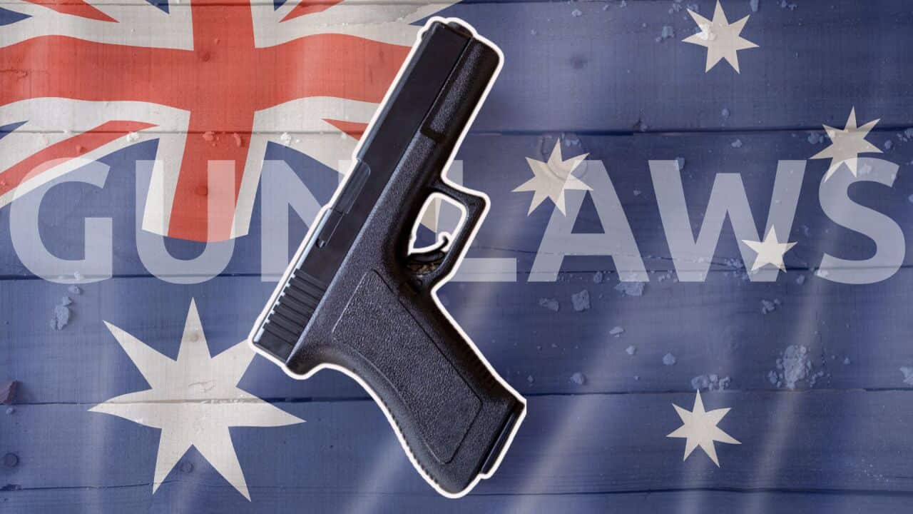 Gun Laws (1).jpg