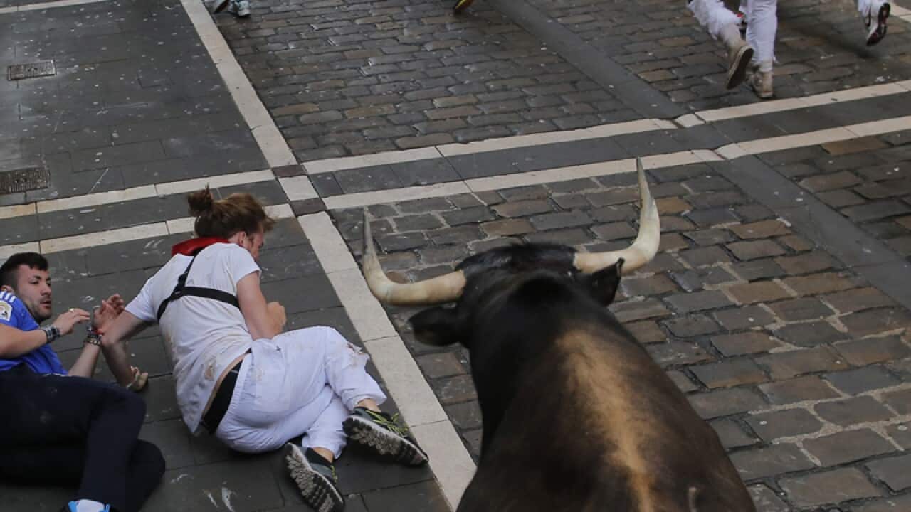 A Dolores Aguirre fighting at the running of the bulls Pamplona, Spain
