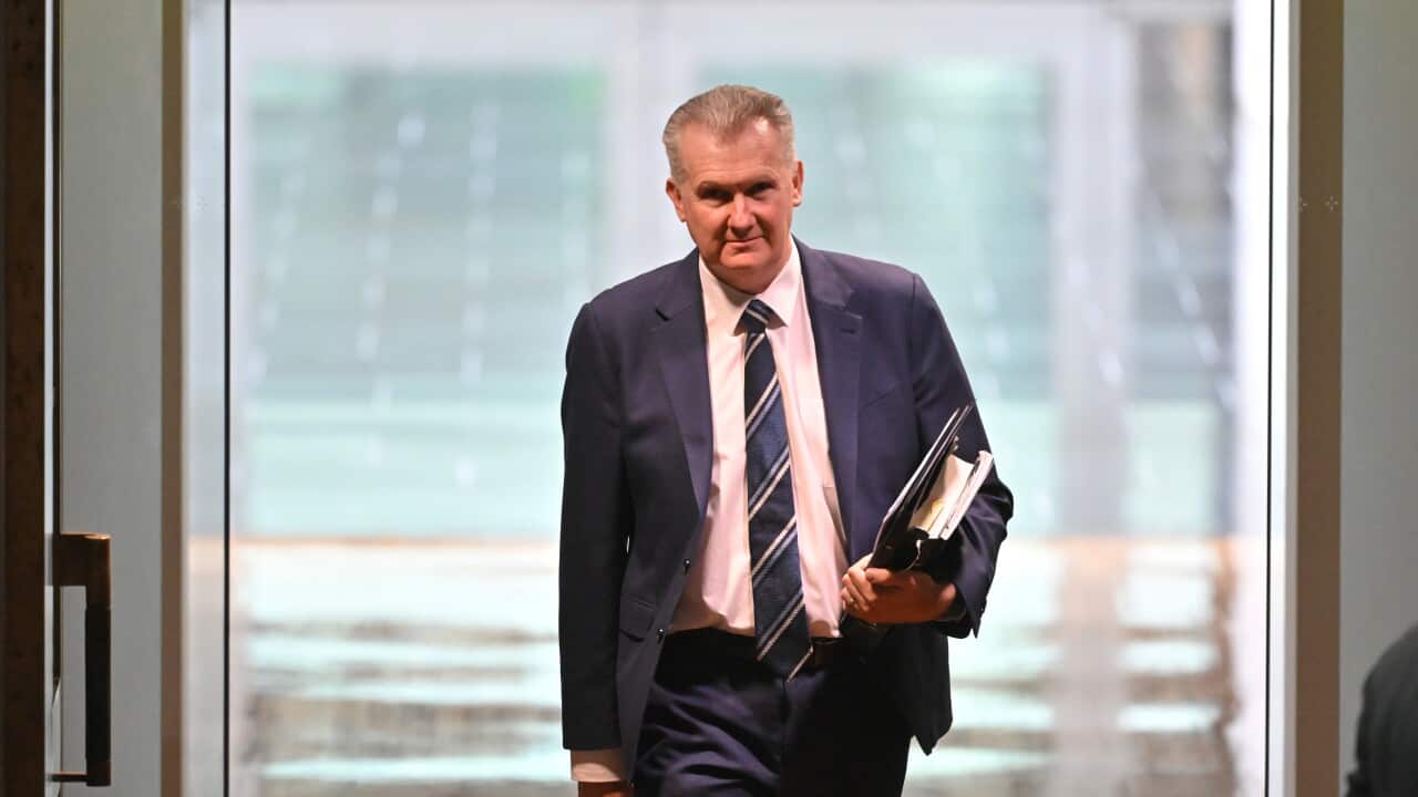 Tony Burke has issued some humanitarian visas (AAP)