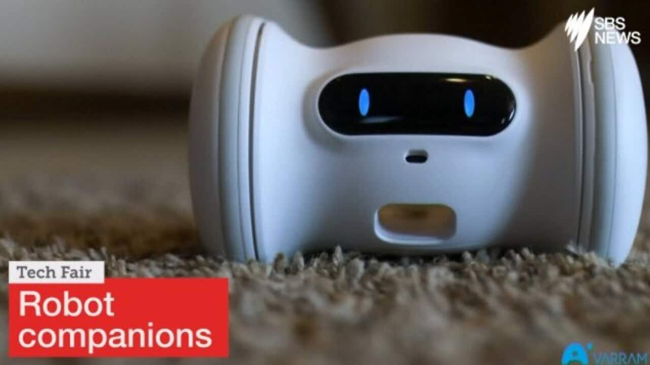 Robot companions designed to cure loneliness of people and pets